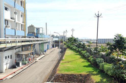 Plant Building Picture